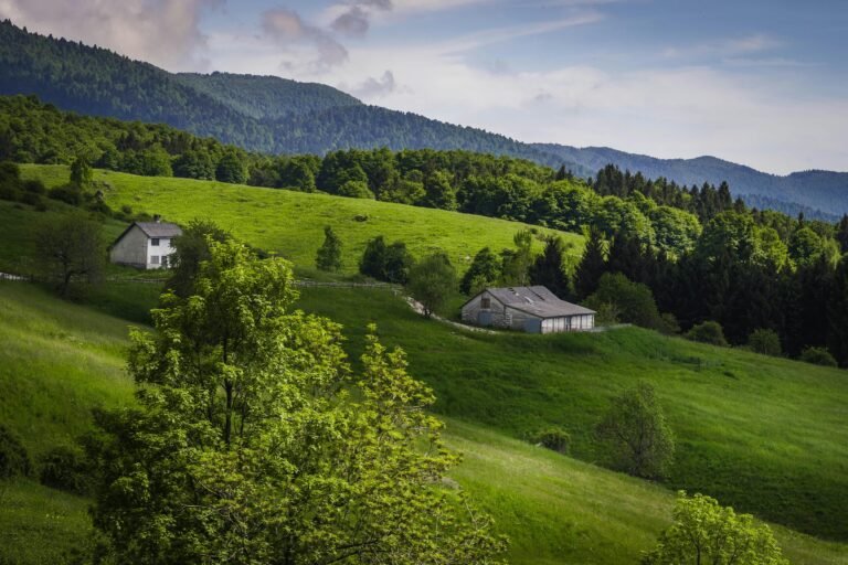 Onde Encontrar Casas Para Alugar Na Serra Espírito Santo