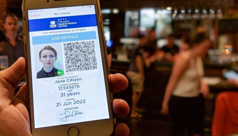 É Permitido Entrar na Argentina Com RG Digital No Celular