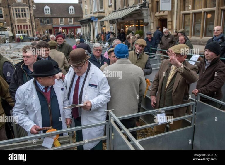 leilao rural com pessoas e martelo