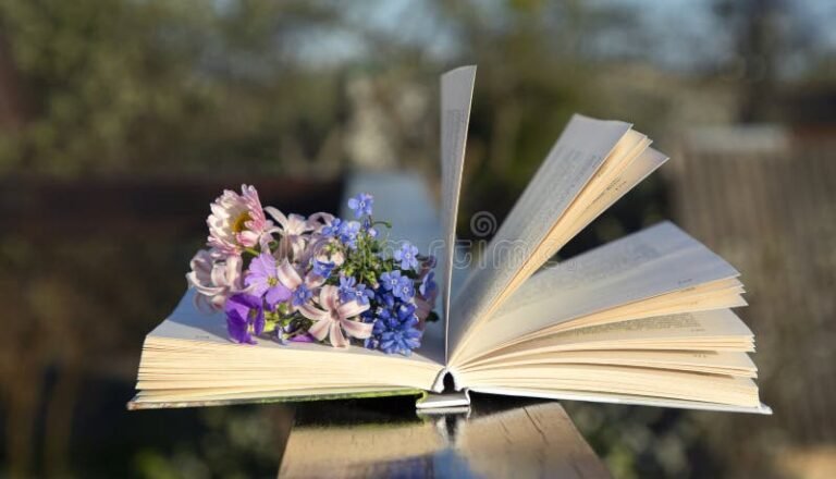 Como Eu Era Depois de Você: Qual é a História Por Trás do Livro 7 Como Eu Era Depois de Você: Qual é a História Por Trás do Livro