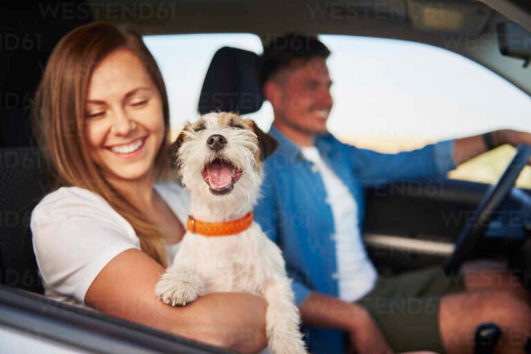 Como Ativar Uber Pet para Motorista e Aumentar Seus Ganhos 2 motorista sorridente entrando com cachorro no carro