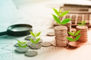 pilha de moedas crescendo com lupa