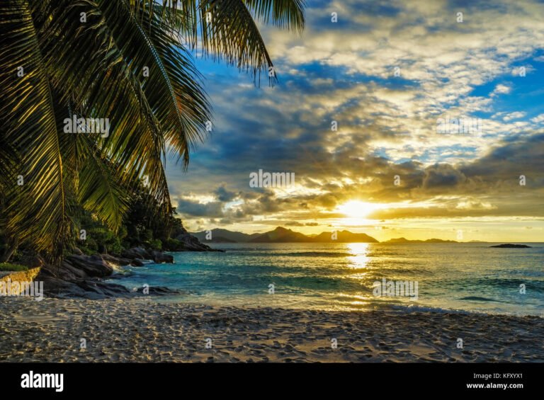 praia paradisiaca com coqueiros ao por do sol