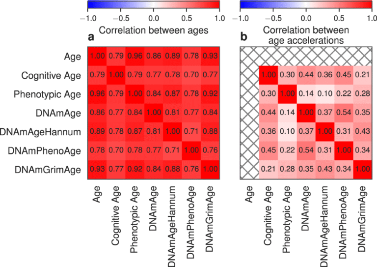 relogio envelhecendo ao lado de documentos financeiros